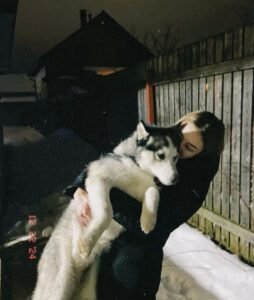 Sau Khi Nghe Được Tiếng Lòng Của Chó Husky Nhà Tôi